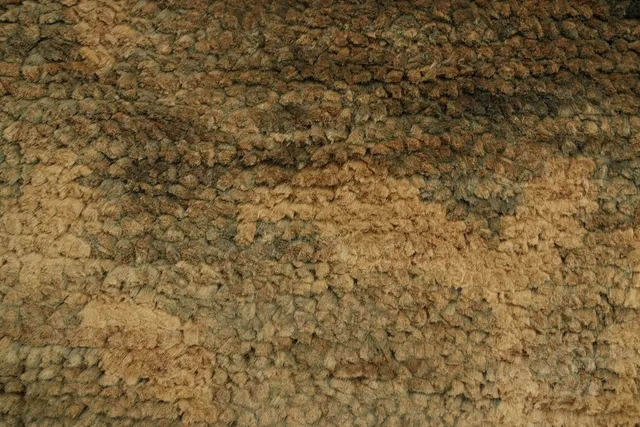 https://image-static-obj.rugsource.com/small/109069_3307495_1fe52474.jpeg