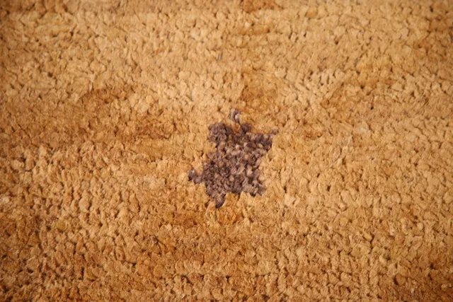https://image-static-obj.rugsource.com/small/109077_2154671_43799ead.jpeg