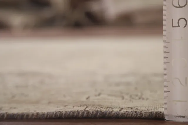 https://image-static-obj.rugsource.com/small/110066_2172252_9e6cedee.jpeg