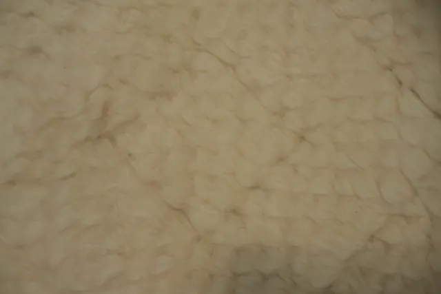 https://image-static-obj.rugsource.com/small/111519_3175203_b08ccd22.jpeg