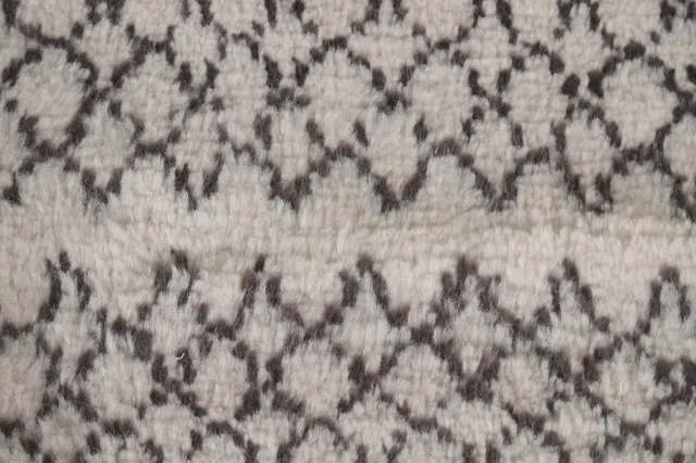 https://image-static-obj.rugsource.com/small/111795_2212964_1cb85020.jpeg