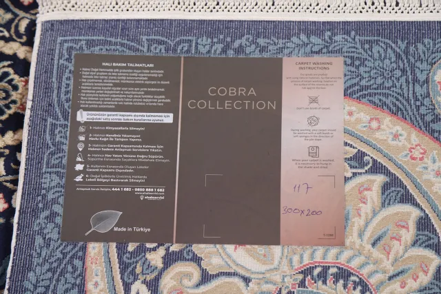 https://image-static-obj.rugsource.com/small/116764_2295991_a2aeec0c.jpeg