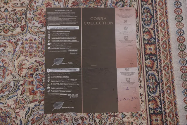 https://image-static-obj.rugsource.com/small/116862_2294142_30381370.jpeg