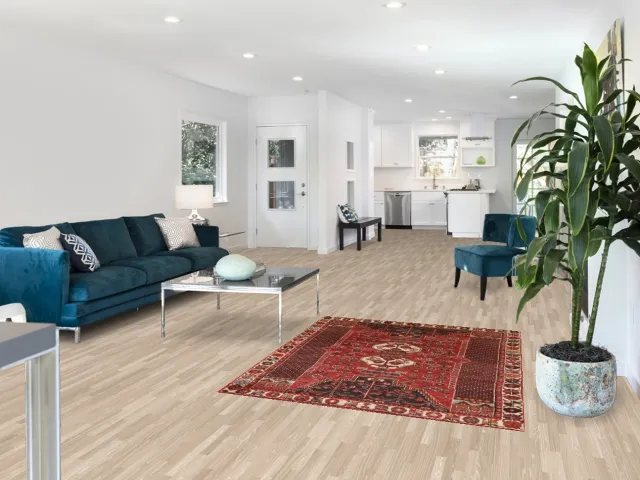 https://image-static-obj.rugsource.com/small/117100_2307590_31df599c.jpeg
