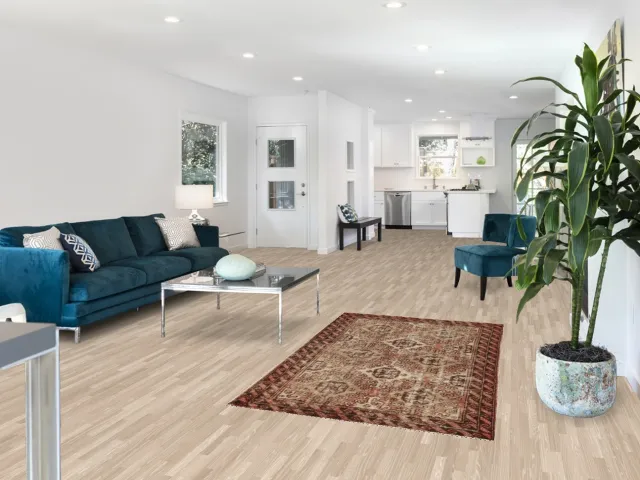 https://image-static-obj.rugsource.com/small/117184_2311744_5119119c.jpeg