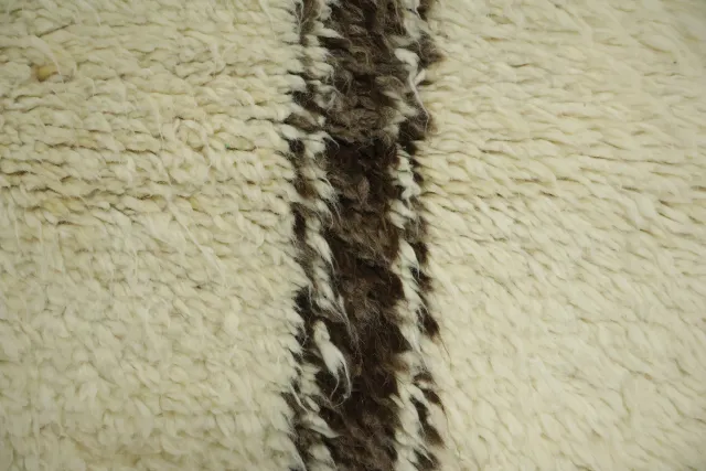 https://image-static-obj.rugsource.com/small/117282_3288813_d5d1546a.jpeg