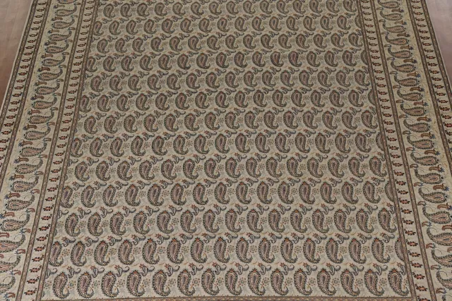 https://image-static-obj.rugsource.com/small/117465_2313563_0ff003ff.jpeg