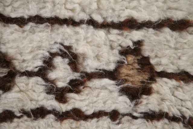 https://image-static-obj.rugsource.com/small/119784_2363953_81525ed3.jpeg