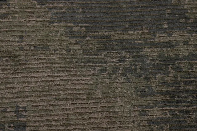 https://image-static-obj.rugsource.com/small/120302_2375621_cea740d4.jpeg