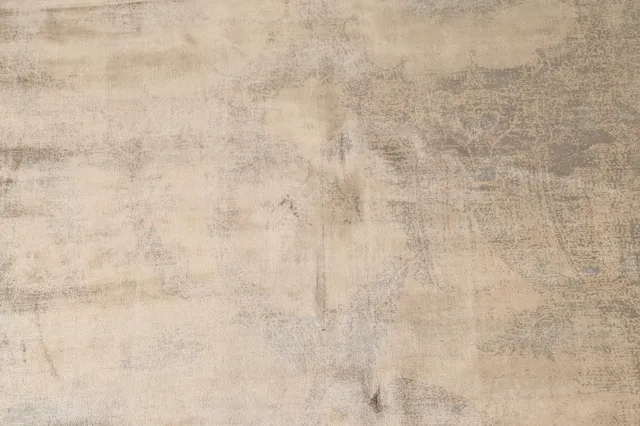 https://image-static-obj.rugsource.com/small/120788_2386153_a1f9d0d4.jpeg