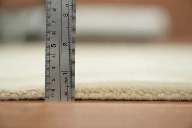 https://image-static-obj.rugsource.com/small/121564_3403844_cb13d685.jpeg