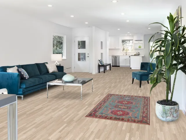 https://image-static-obj.rugsource.com/small/123468_2442396_09eaa533.jpeg