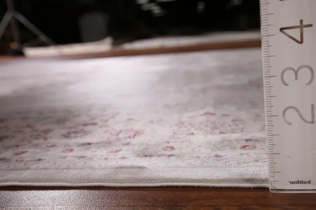 https://image-static-obj.rugsource.com/small/124339_2458405_13bb0a05.jpeg