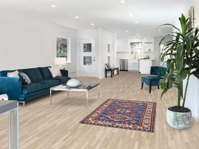 https://image-static-obj.rugsource.com/small/124767_2465429_603c95c7.jpeg