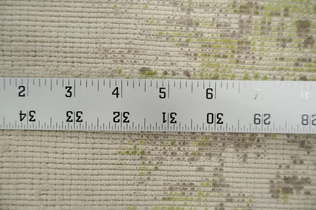 https://image-static-obj.rugsource.com/small/131040_3449127_8a109dda.jpeg