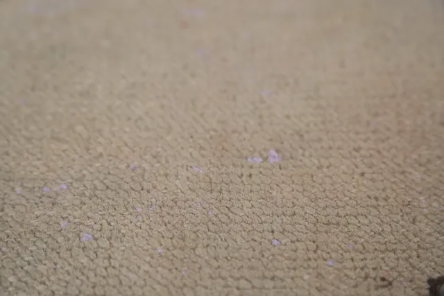 https://image-static-obj.rugsource.com/small/133336_2616960_5f084ee8.jpeg