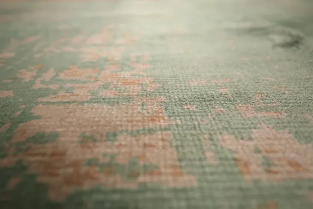 https://image-static-obj.rugsource.com/small/133784_2631161_d3a66b8b.jpeg