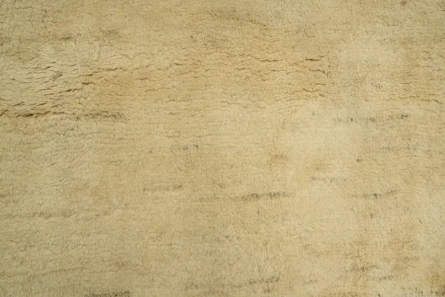 https://image-static-obj.rugsource.com/small/13386_3307097_eb139095.jpeg