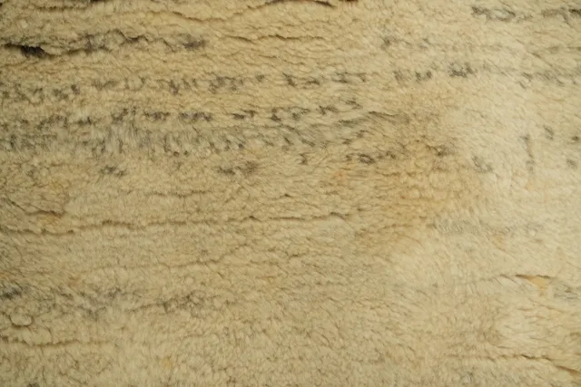 https://image-static-obj.rugsource.com/small/13386_3307099_65fd0975.jpeg