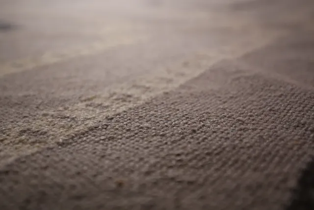 https://image-static-obj.rugsource.com/small/133902_2636678_df14e92e.jpeg