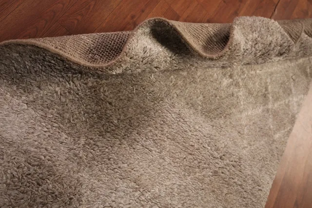 https://image-static-obj.rugsource.com/small/133970_2640149_98c812ad.jpeg