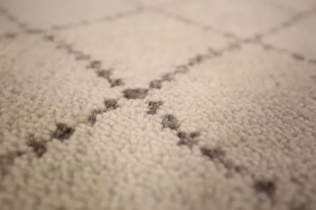 https://image-static-obj.rugsource.com/small/133973_2640246_2eec46bf.jpeg