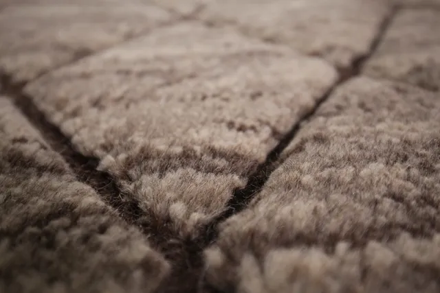 https://image-static-obj.rugsource.com/small/133991_2639766_f5cc165f.jpeg