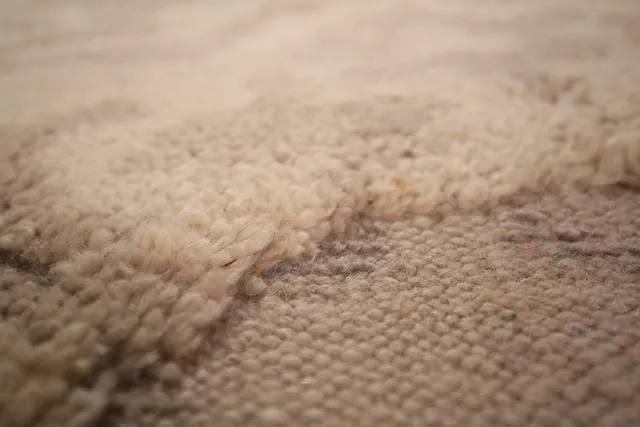https://image-static-obj.rugsource.com/small/133995_2639903_8d3cd0de.jpeg