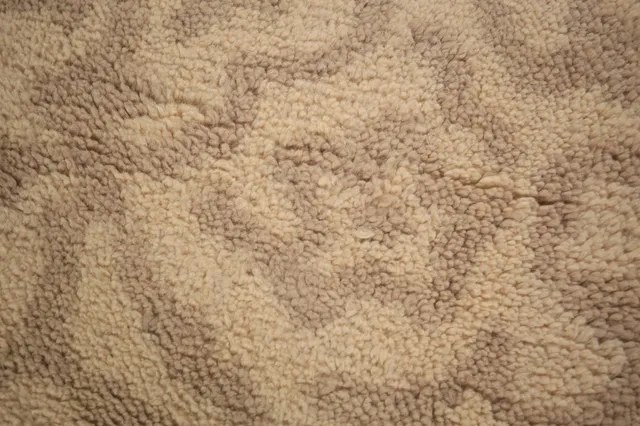https://image-static-obj.rugsource.com/small/133995_2639905_b0714ada.jpeg