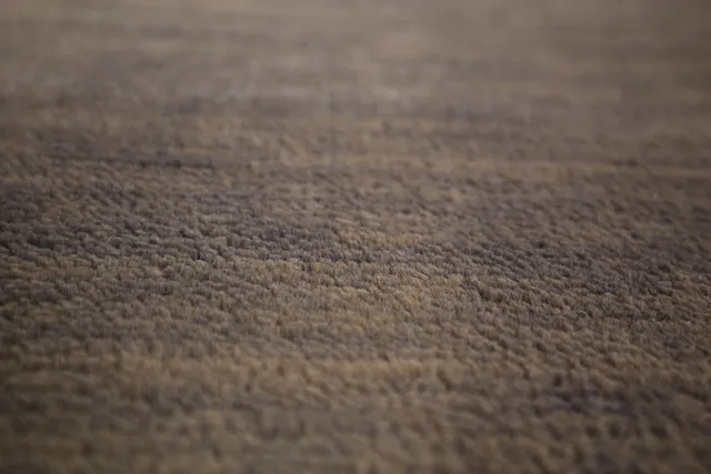 https://image-static-obj.rugsource.com/small/134029_2642514_9510c22d.jpeg