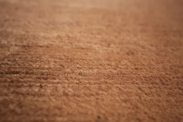 https://image-static-obj.rugsource.com/small/134035_2642635_67b085cd.jpeg