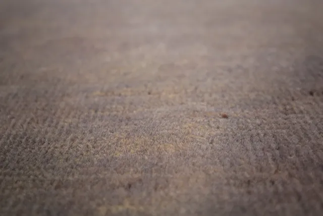 https://image-static-obj.rugsource.com/small/134037_2642702_7c3ed36b.jpeg