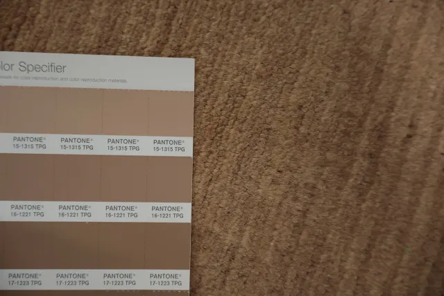 https://image-static-obj.rugsource.com/small/134038_3129246_3966cbae.jpeg