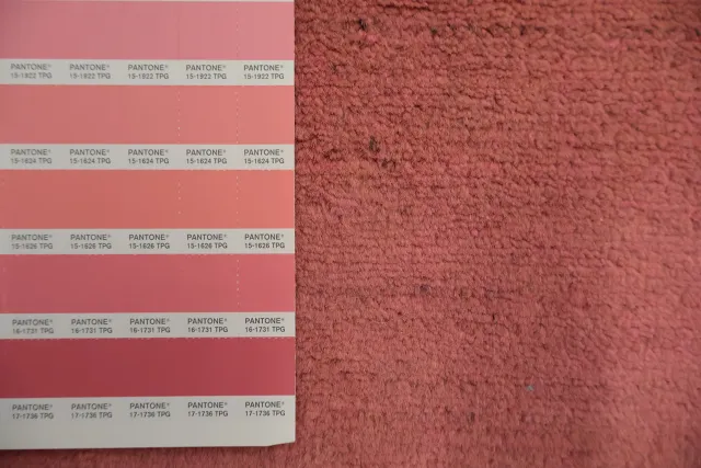 https://image-static-obj.rugsource.com/small/134098_3171172_739249b0.jpeg