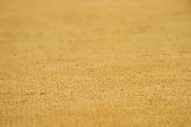 https://image-static-obj.rugsource.com/small/134108_2806103_8c9a6198.jpeg