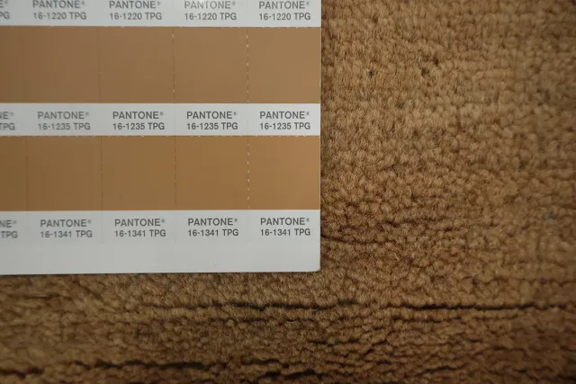 https://image-static-obj.rugsource.com/small/134111_3252067_9202e29b.jpeg