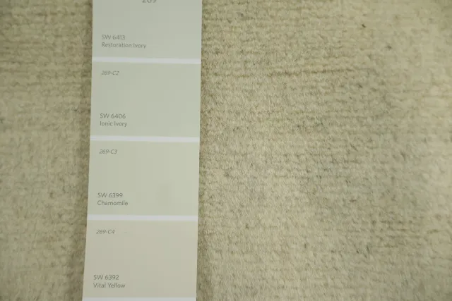 https://image-static-obj.rugsource.com/small/134170_3487483_01101c8b.jpeg