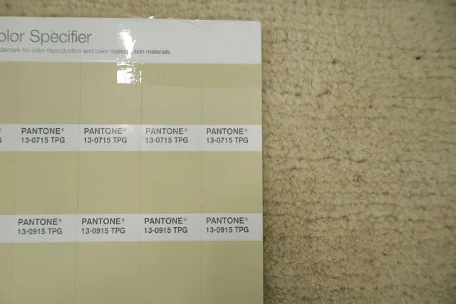 https://image-static-obj.rugsource.com/small/134187_3273085_64d609ee.jpeg