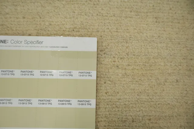 https://image-static-obj.rugsource.com/small/134247_3273449_ffc00933.jpeg
