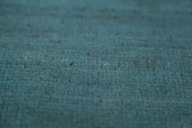 https://image-static-obj.rugsource.com/small/134251_2645098_43a00b3f.jpeg