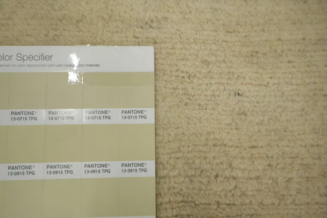 https://image-static-obj.rugsource.com/small/134253_3272436_06b20402.jpeg