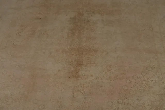 https://image-static-obj.rugsource.com/small/134438_2647703_f0e3068c.jpeg