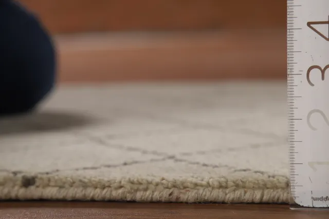 https://image-static-obj.rugsource.com/small/134562_2657758_2905ad65.jpeg