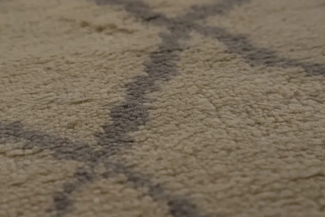 https://image-static-obj.rugsource.com/small/134602_2656517_19e96cf8.jpeg