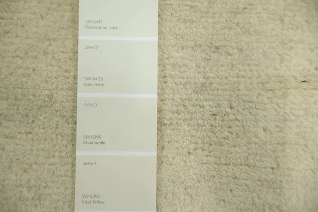 https://image-static-obj.rugsource.com/small/134664_3487495_f971f054.jpeg