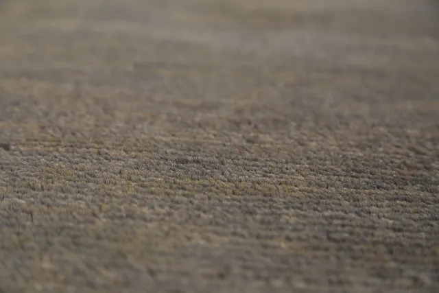 https://image-static-obj.rugsource.com/small/134766_2650661_0655369a.jpeg