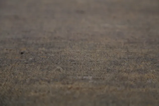 https://image-static-obj.rugsource.com/small/134767_2651087_111a3237.jpeg