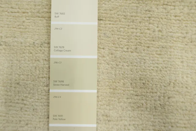 https://image-static-obj.rugsource.com/small/134774_3493100_d59bc977.jpeg