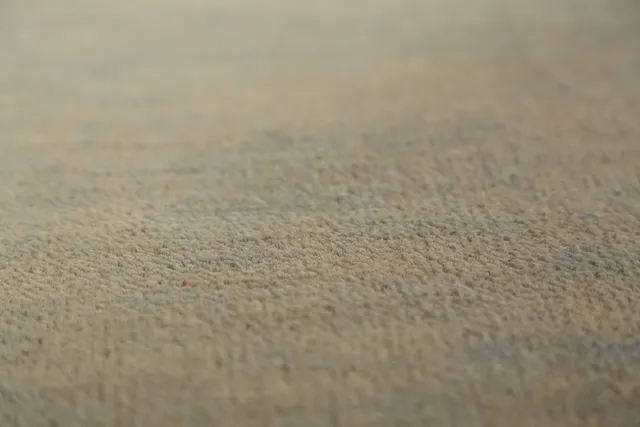 https://image-static-obj.rugsource.com/small/134789_2650411_975d375f.jpeg