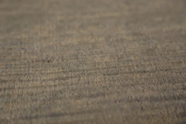 https://image-static-obj.rugsource.com/small/134853_2655552_3d1941ca.jpeg